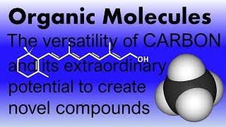 Organic Molecules: The versatility of carbon--The tremendous variety of organic compounds on earth.