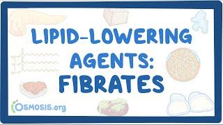 Lipid-lowering medications: Fibrates ~Pharmacology~