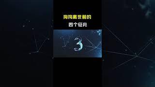 狗狗离世前的，四个征兆 #宠物知识 # #狗狗是人类最忠诚的朋友 #涨知识 #科普 #科普达人 #科普知识 #涨知识 #百科 #冷知识 #奇葩冷知识 #健康科普 #健康