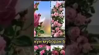 Хайрли Кун дустлар 