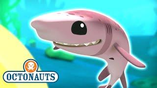 @Octonauts - The Cookiecutter Sharks | Full Episode 39 | @Kidzuko