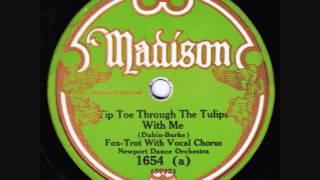 Grey Gull Studio Band - Tip Toe Through The Tulips With Me - 1929