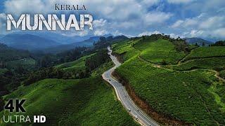 Munnar 4K Drone Shot | Munnar Kerala | God's Own Country