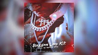 (FREE) Gunna Loop Kit "Blossom" (Gunna, Young Thug, Lil Gotit, Lil Keed, Wheezy, Cubeatz, YSL)