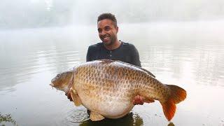 **CARP FISHING FRANCE** Etang Du Bois 2017