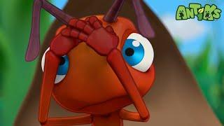 Nutcrackers |  Antiks & Insectibles  | Funny Cartoons for Kids | Moonbug