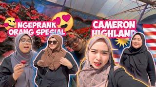 PRANK ORANG SPESIAL DI KLIA | HEALING KE CAMERON LAVENDER, MALAYSIA