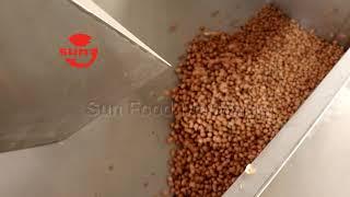 500 KG/H Continuous Nut Roasting Machine For Roasting Peanuts