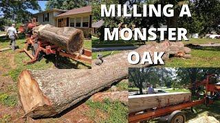 Milling a Monster Oak Tree