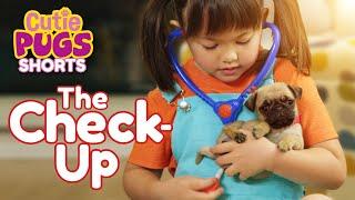 Playing Doctor‍️ | Cutie Pugs | Animals for Kids