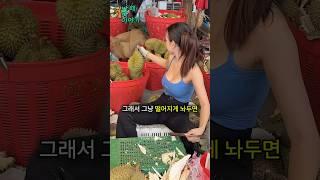 상당히 위험한 두리안 수확