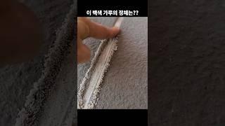 야외 테라스 석재 타일 줄눈에서 올라오는 백색 가루의 정체?