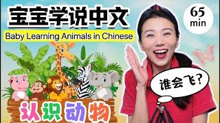 教宝宝认识动物 - 宝宝中文学说话 | 中文儿歌童谣 | 幼儿初始词汇 | 婴儿手语 Baby Learning animals in Chinese | First words in Chinese