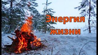 Энергия жизни