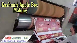 Kashmiri Apple Box preparing /congurated Apple box/Lassipora Pulwama Plant