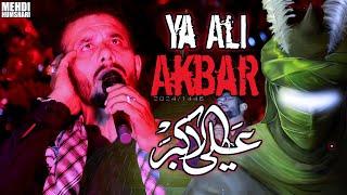 New Nohay 2024 | Ya Ali Akbar a.s | Mehdi Humshari| Muharram 1446/2024