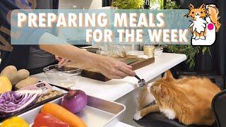 Preparing meals for the week  Cooking vlog