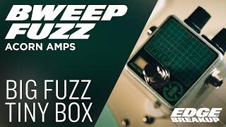 Big Fuzz Tiny Box // Acorn Amps Bweep Fuzz // Guitar Pedal Demo