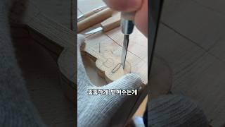 이제야 말하는 통나무의 비밀￼