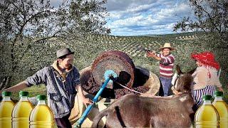 3000 Years of Wisdom? Stone Ground Olive Oil and Moroccan Village Food!