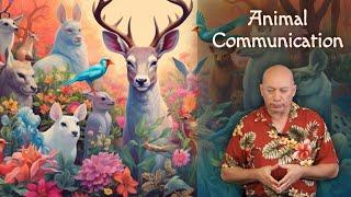 Bashar: Animal Communication