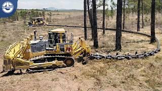 Clearing Wooded Land with Anchor Chain and Bulldozer