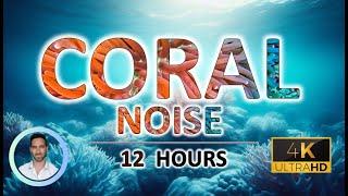 Coral Sleep Noise | For Instant Deep Sleep | 12 Hours | BLACK SCREEN | Tinnitus & Anxiety Relief