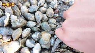 Erdan Caught a Lot of Clams on the Beach