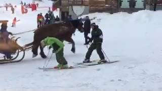 Guy Too Drunk to Ski