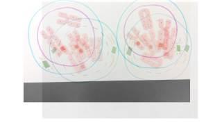 Meiosis Movie - Ashley Yang, Christina Tso