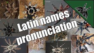 Pronunciation of latin/scientific Tarantula names EP01