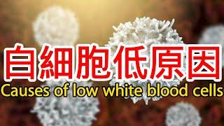 白細胞低是什麼原因導致的？What causes low white blood cells?