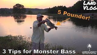 Fishing Pond/Lake Management - 3 Tips for Trophy Bass