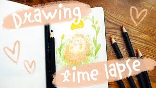 Time Lapse Pencil Illustration | Cute Hedgehog Drawing