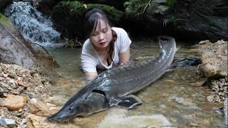 One fine day, I went into the forest to look for honey bees and discovered a school of sturgeon