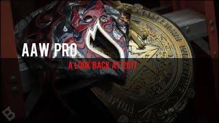 AAW Pro 2017 Year In Review