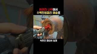 버려진 나무에서 수백만원짜리 예술품으로