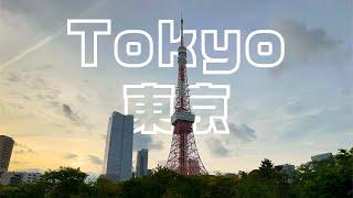 Tokyo Tower After the Rain Sunset Story Captured at Shiba Park