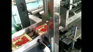 Maquina empacadora horizontal / Horizontal packaging machine