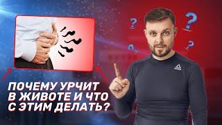 Почему урчит в животе и что с этим делать?|Практик оздоровления Максим Андреюк