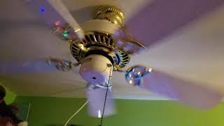 (1/2) Ceiling Fans In My House - 2019