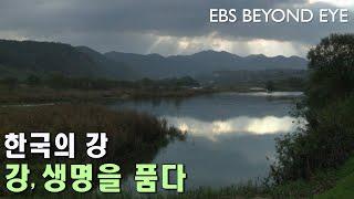 한국의 강 ㅣ 강, 생명을 품다 l River of Korea