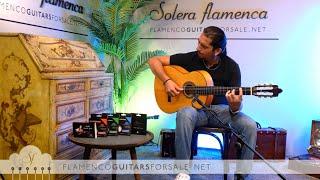 Álvaro Segura 2024  flamenco guitar for sale played by José Andrés Cortés