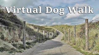 Dog Walk TV : TV for Dogs - Virtual Dog Walk at The Beach