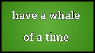 Have a whale of a time Meaning