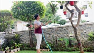 How I Clean and Decorate my Garden | Part-2 ~Sunila’s Sweet Home~