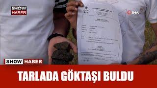 Tarlada bulduğu göktaşının önce analizini yaptırdı şimdi de açık artırmayla satılığa çıkardı!