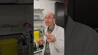 04 Fruit Fly Research Lab tour at Exeter University with Professor James Wakefield