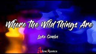 Luke Combs - Where the Wild Things Are (Lyrics) | It's hearts on fire and crazy dreams