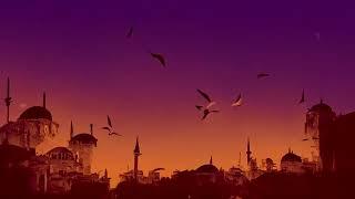 "Istanbul" Animation Created by AI